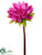 Water Lily Spray - Rubrum - Pack of 6