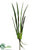 Cymbidium Leaf Plant - Green - Pack of 12