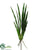 Cymbidium Leaf Plant - Green - Pack of 12