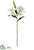 Casablanca Lily Spray - White - Pack of 12