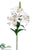 Oriental Lily Spray - Cream - Pack of 4