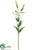 Casablanca Lily Spray - Cream - Pack of 6