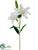 Casablanca Lily Spray - White - Pack of 6