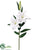 Casablanca Lily Spray - White - Pack of 4