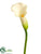 Mini Calla Lily Spray - Cream Green - Pack of 12