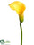 Mini Calla Lily Spray - Yellow - Pack of 12