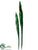 Sansevieria Leaf Spray - Green - Pack of 6