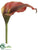 Calla Lily Spray - Brick Green - Pack of 12