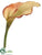 Calla Lily Spray - Honey Brick - Pack of 12