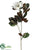 Magnolia Spray - White - Pack of 4