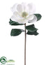 Silk Plants Direct Magnolia Spray - White - Pack of 6