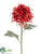 Spider Mum Spray - Coral - Pack of 12