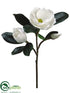 Silk Plants Direct Magnolia Spray - White - Pack of 6