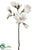 Magnolia Spray - White - Pack of 6