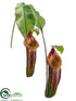 Silk Plants Direct Bottle Nepenthes Spray - Burgundy Green - Pack of 4