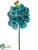 Vanda Orchid Spray - Aqua Light - Pack of 6