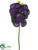 Vanda Orchid Spray - Purple - Pack of 6