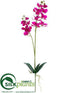 Silk Plants Direct Phalaenopsis Orchid Plant - Orchid - Pack of 4