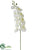 Phalaenopsis Orchid Spray - White Green - Pack of 6