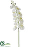 Silk Plants Direct Phalaenopsis Orchid Spray - White Green - Pack of 6