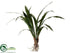 Silk Plants Direct Cymbidium Orchid Leaf Plant - Green - Pack of 6