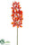 Vanda Orchid Spray - Flame - Pack of 12