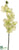 Vanda Orchid Spray - Cream Green - Pack of 6