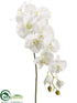 Silk Plants Direct Phalaenopsis Orchid Spray - Cream Green - Pack of 6