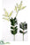 Rananterea Orchid Plant Kit Box - Green - Pack of 1