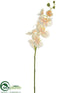 Silk Plants Direct Phalaenopsis Orchid Spray - Cream - Pack of 12