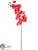 Silk Plants Direct Phalaenopsis Orchid Spray - Coral - Pack of 12