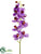 Phalaenopsis Orchid Spray - Orchid Lilac - Pack of 12