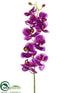 Silk Plants Direct Phalaenopsis Orchid Spray - Orchid - Pack of 12