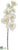 Phalaenopsis Orchid Spray - White - Pack of 12