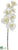 Phalaenopsis Orchid Spray - White - Pack of 12