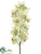 Cymbidium Orchid Spray - Green Burgundy - Pack of 4