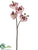 Phalaenopsis Orchid Spray - White Orchid - Pack of 6