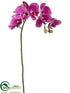 Silk Plants Direct Phalaenopsis Orchid Spray - Orchid - Pack of 12