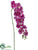 Phalaenopsis Orchid Spray - Orchid - Pack of 6