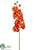 Phalaenopsis Orchid Spray - Orange Burgundy - Pack of 4