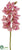 Cymbidium Orchid Spray - Rubrum - Pack of 6