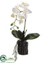 Silk Plants Direct Phalaenopsis Orchid Plant - White - Pack of 6