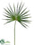 Fan Palm Spray - Green - Pack of 12