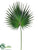 Fan Palm Spray - Green - Pack of 12