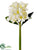 Plumeria Spray - Ivory - Pack of 12