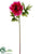 Peony Spray - Fuchsia - Pack of 12