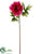 Peony Spray - Fuchsia - Pack of 12