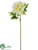 Peony Spray - Green Light - Pack of 12