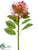 Pincushion Protea Spray - Red - Pack of 12