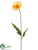 Poppy Spray - Apricot - Pack of 12